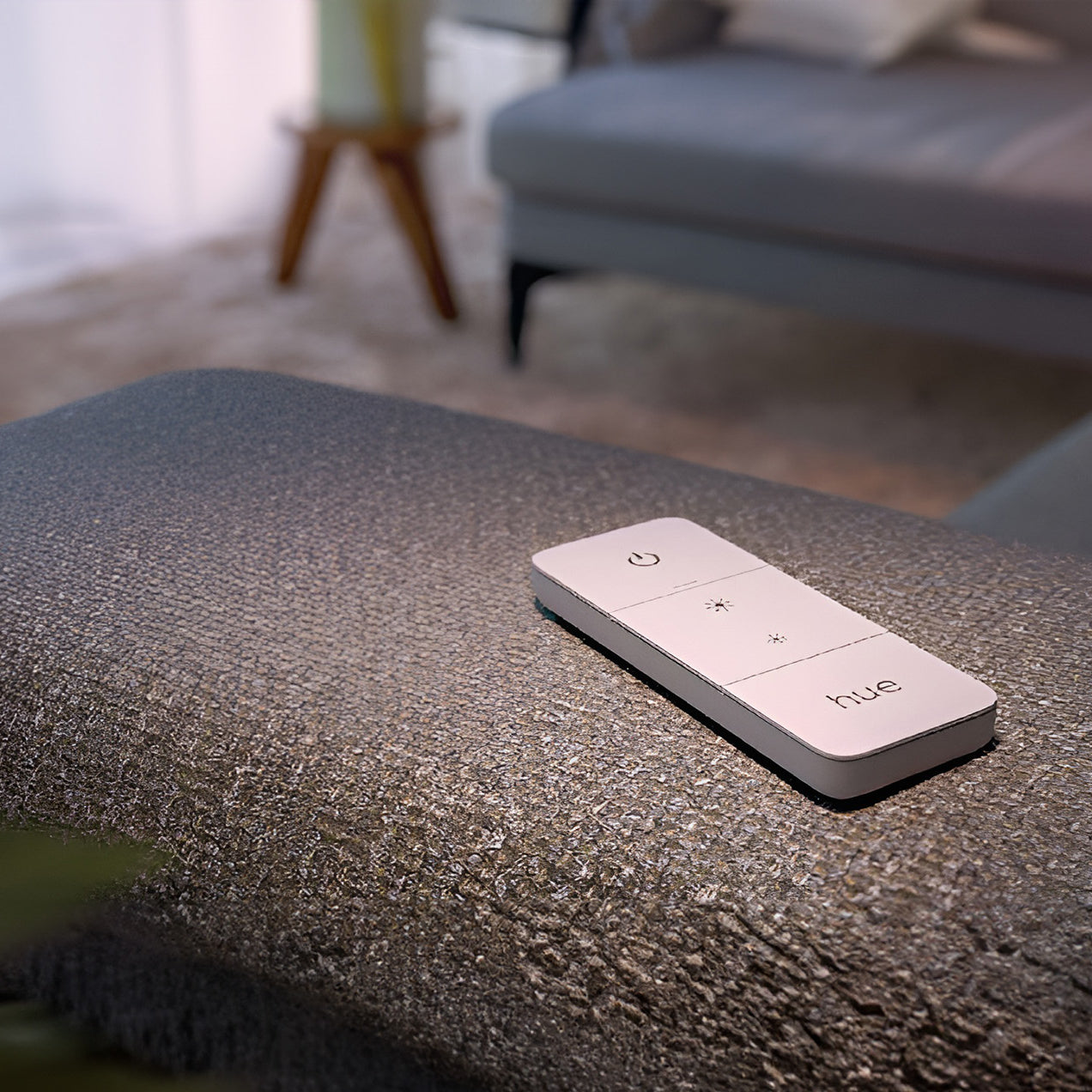 Philips Hue Dimmer Switch RUS/UAE/IN