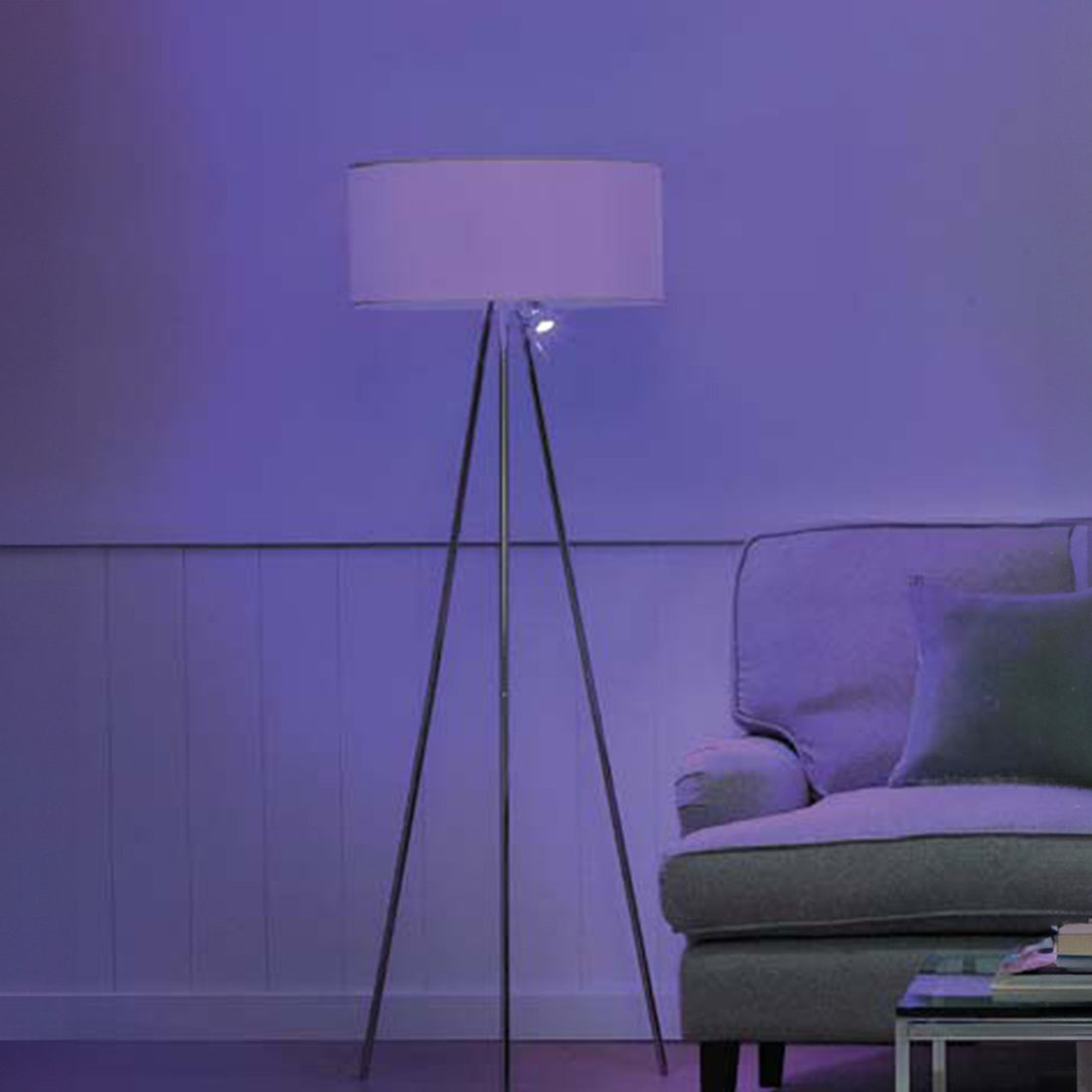 PHILIPS HUE BRIDGE IN